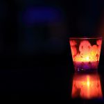 猫にアロマは危険！？