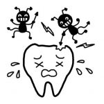 猫はなぜ虫歯にならないのか