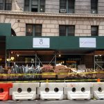 海外猫専門病院研修 Manhattan Cats Specialists 2014 New York