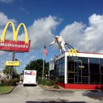 海外猫専門病院研修 Memorial Cat Hospital