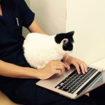 動物病院でうまく症状を伝えるコツ