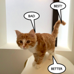 猫のワクチン いろいろ